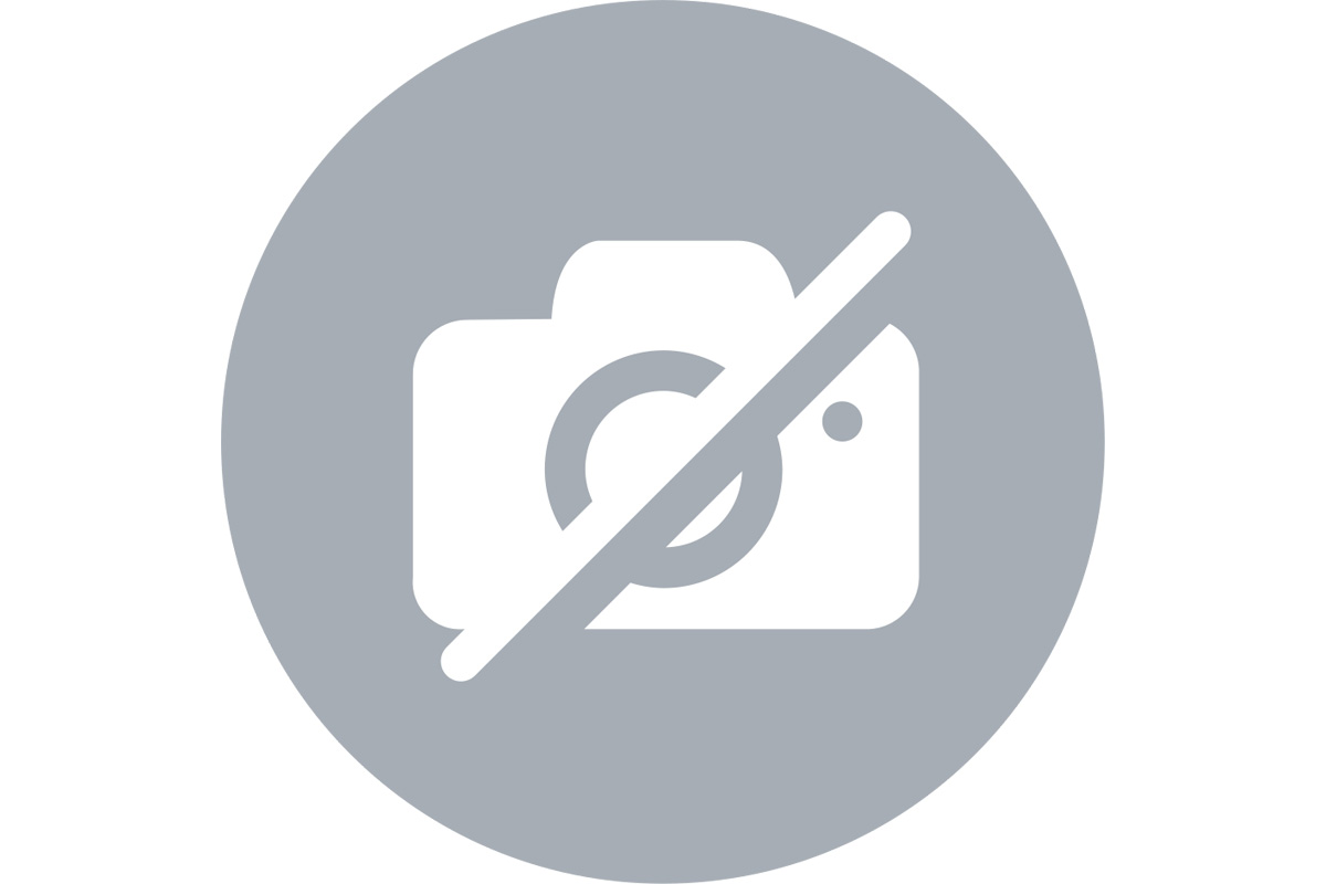 List of Hindi films of 2024