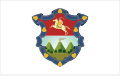 Flag of Guatemala City