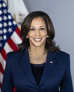 Official vice presidential portrait. Head shot of Harris smiling, wearing an American flag lapel pin and pearl earrings, and dressed formally.