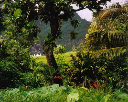 Natural resources
