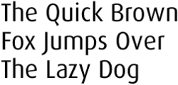 The Quick Brown Fox Jumps Over The Lazy Dog