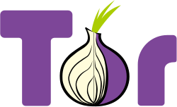 Purple-colored text "Tor", with a partially open onion in place of the "o"