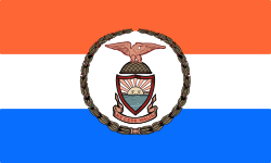 Flag of The Bronx