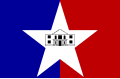 Flag of San Antonio