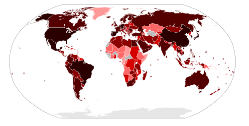 2009 flu pandemic