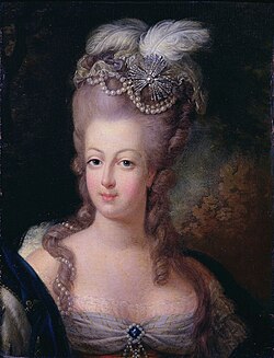 Queen Marie Antoinette of France in a portrait painting aged 20